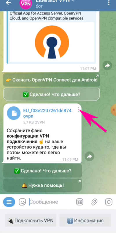 Liberator VPN Telegram бот - сохранение файла конфигурации VPN подключения